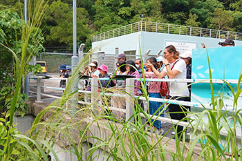 Venture into the blue green of Jordan Valley Channel Garden 3