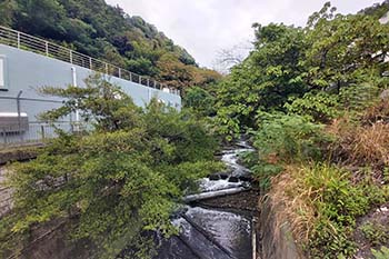 探遊佐敦谷水道 4